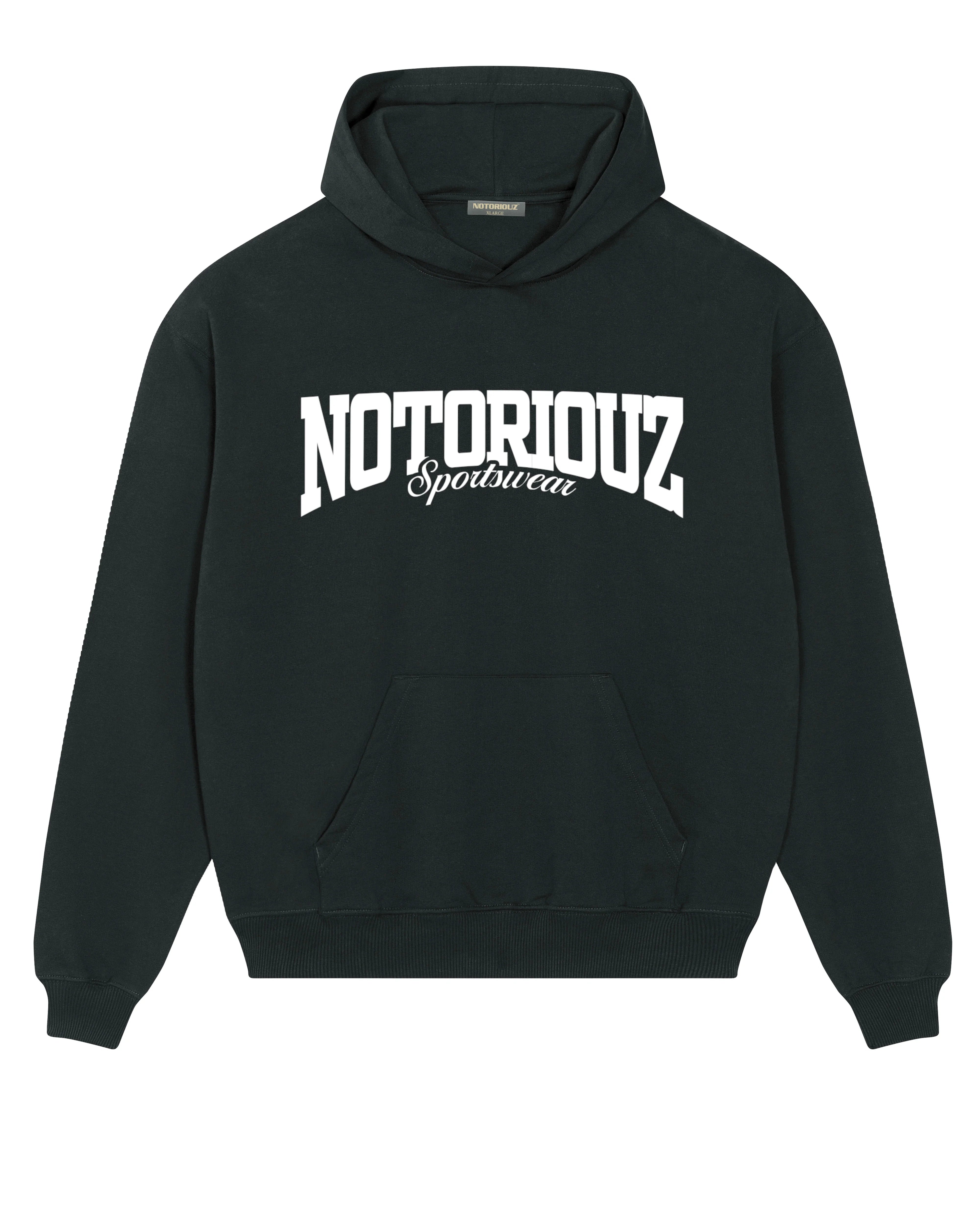 Push Pull Legs Basic Oversized Hoodie | Notoriouz Sportswear